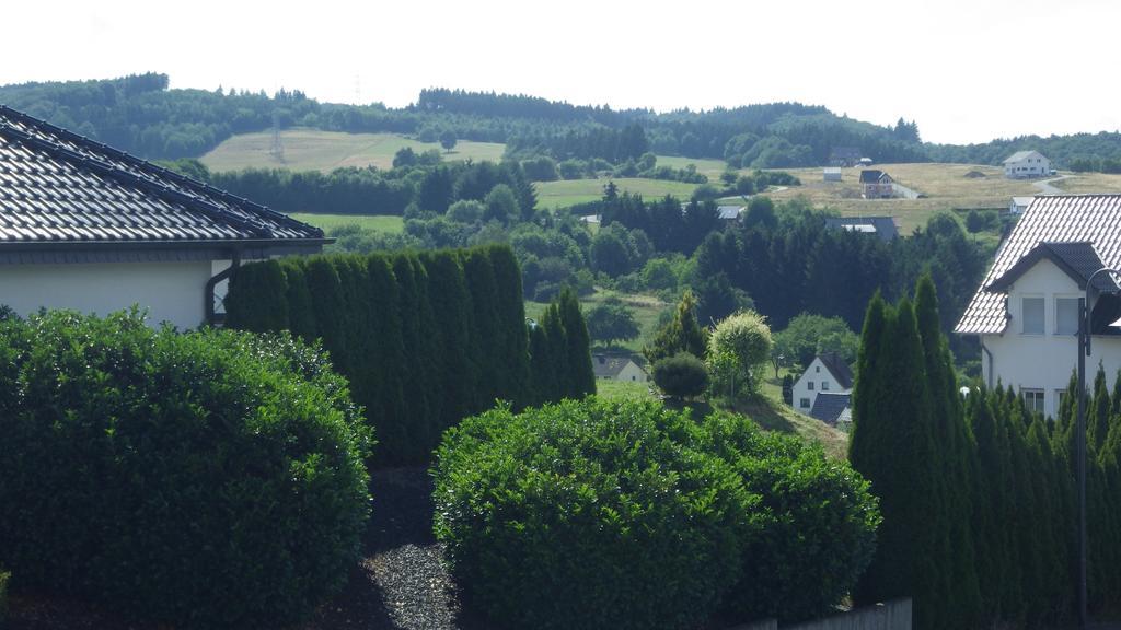 Haus Sonja Appartement Adenau Buitenkant foto